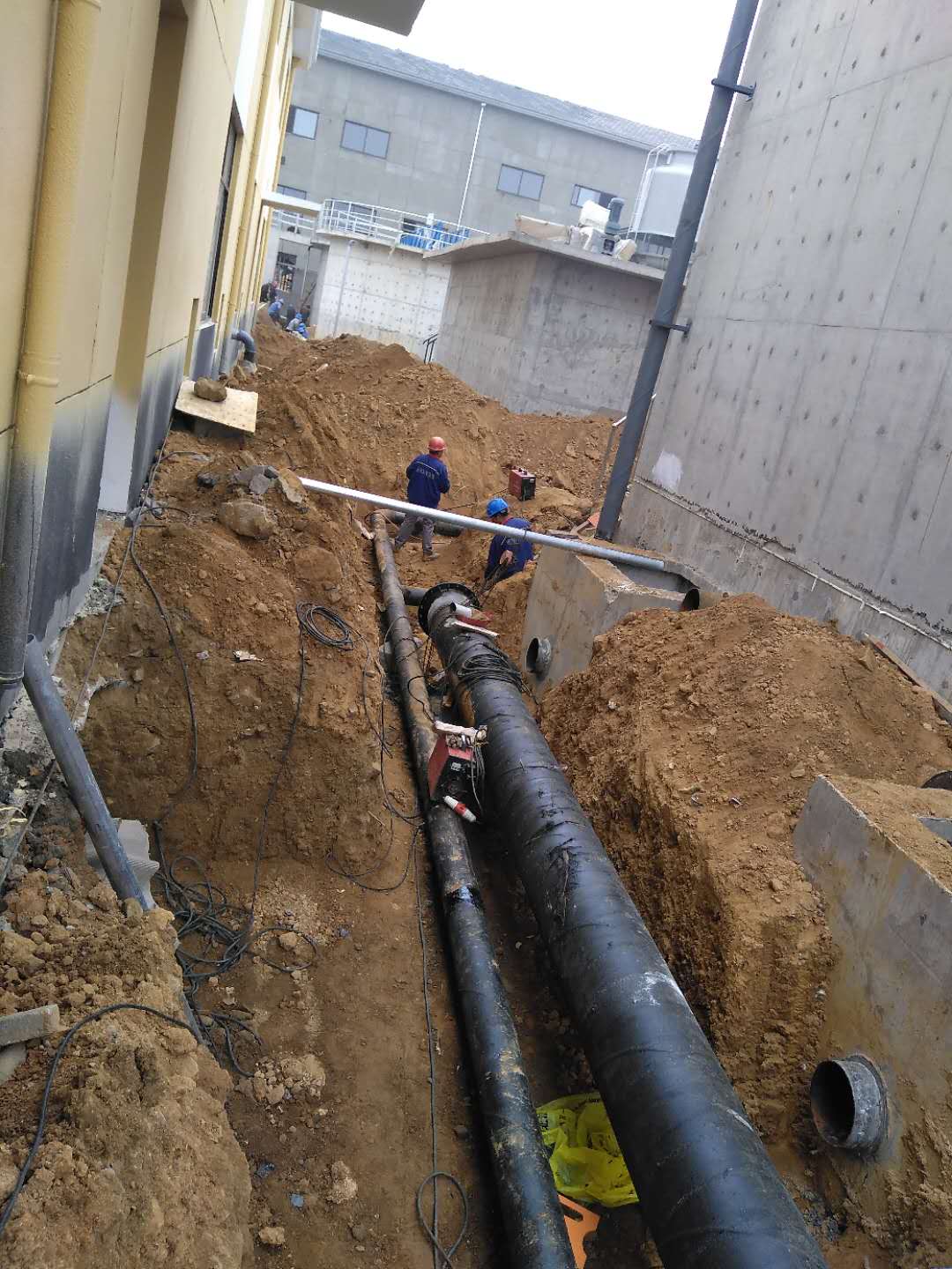 微信图片_20200503100132.jpg 沐鸣2娱乐 155b2